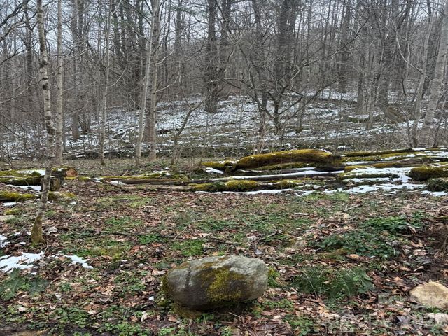 TBD 1.2 Acres Jass Cove Road, Marshall, NC 28753