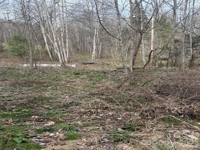 TBD 1.2 Acres Jass Cove Road, Marshall, NC 28753