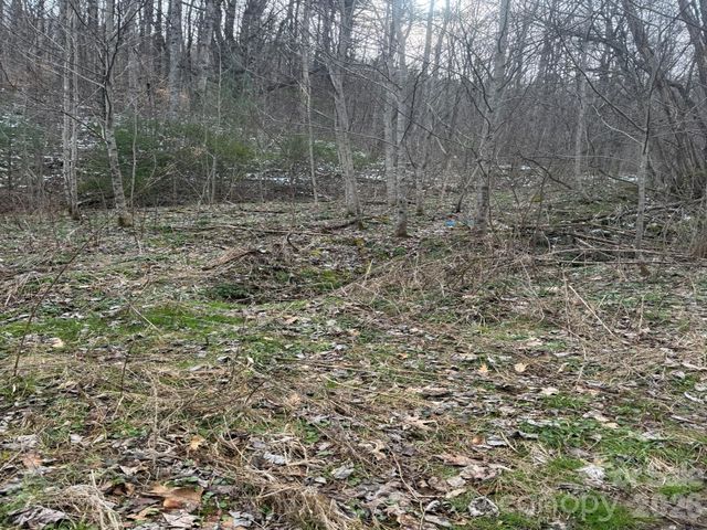 TBD 1.2 Acres Jass Cove Road, Marshall, NC 28753