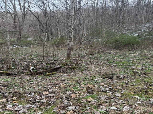 TBD 1.2 Acres Jass Cove Road, Marshall, NC 28753