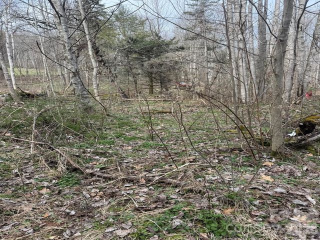TBD 1.2 Acres Jass Cove Road, Marshall, NC 28753