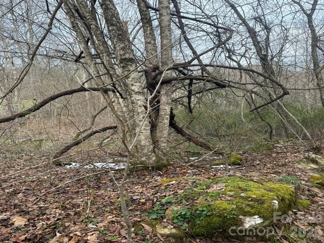 TBD 1.2 Acres Jass Cove Road, Marshall, NC 28753