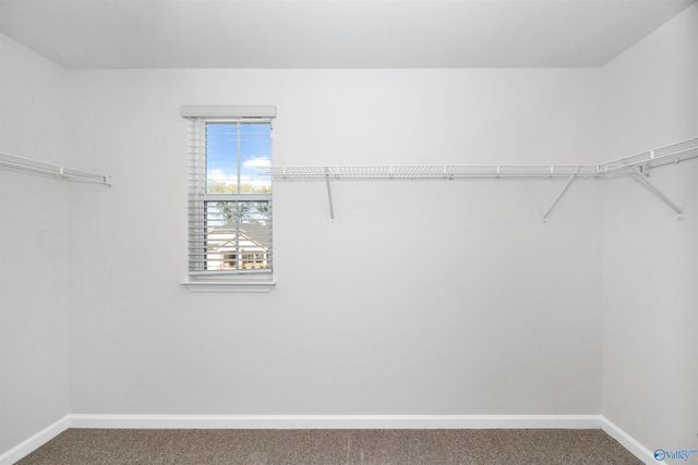 29448 Satilla Circle, Madison, AL 35756