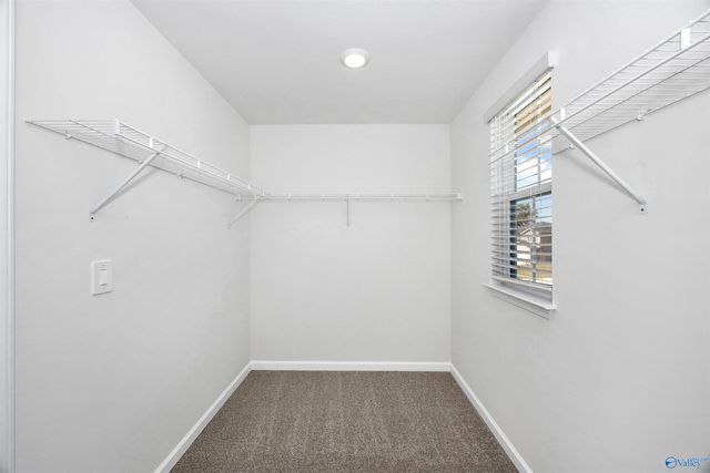 29448 Satilla Circle, Madison, AL 35756