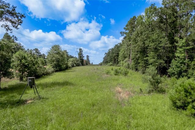 594 County Road 3540, Lovelady, TX 75851