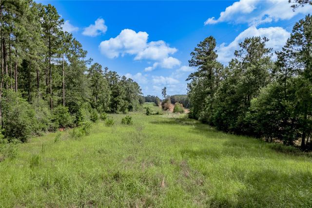 594 County Road 3540, Lovelady, TX 75851