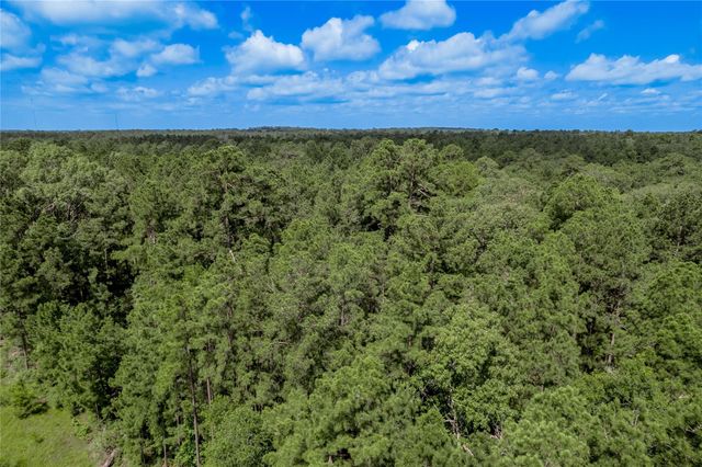 594 County Road 3540, Lovelady, TX 75851