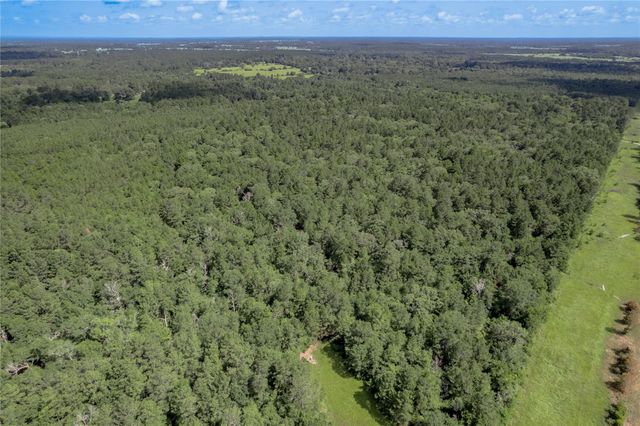 594 County Road 3540, Lovelady, TX 75851