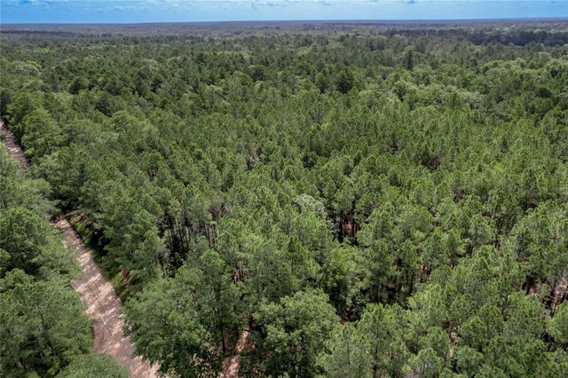 594 County Road 3540, Lovelady, TX 75851