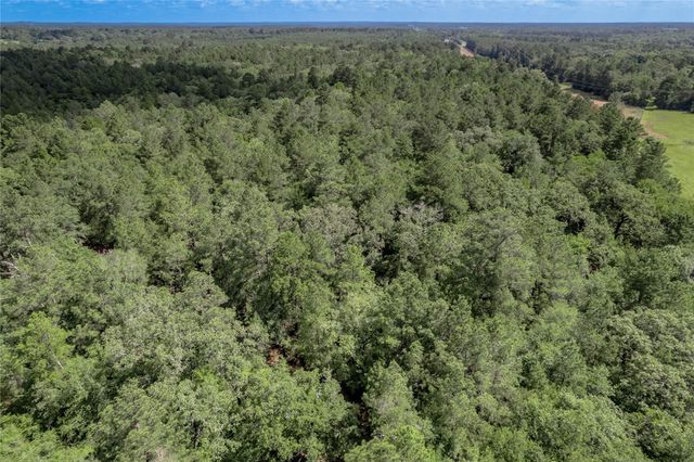 594 County Road 3540, Lovelady, TX 75851