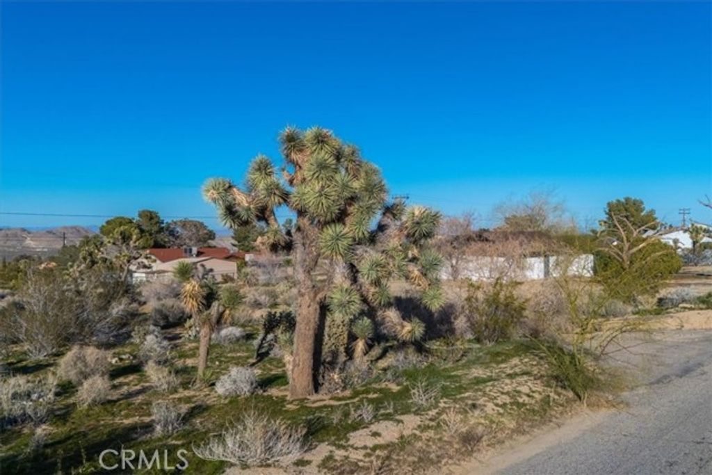 60432 Latham Trail, Joshua Tree, CA 92252