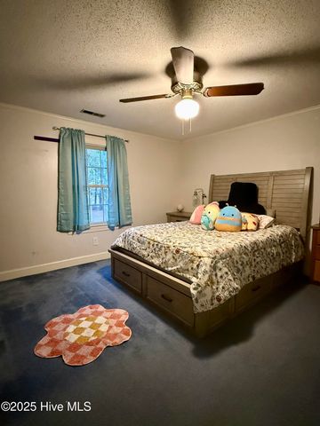 1247 Scenic Drive, Williamston, NC 27892