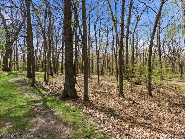 4416 Medford Hill Drive, Metamora, MI 48455