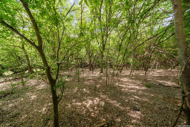 4003 Arbor, San Antonio, TX 78251