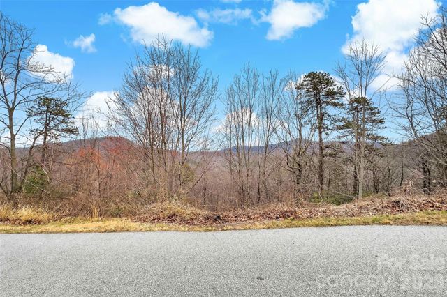 230 Catawba Falls Parkway, Black Mountain, NC 28711