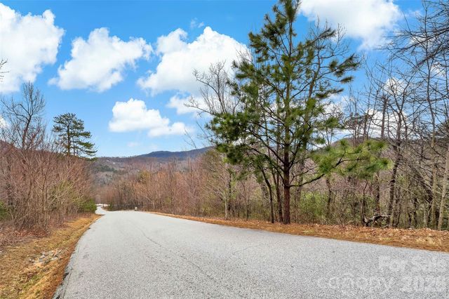 230 Catawba Falls Parkway, Black Mountain, NC 28711