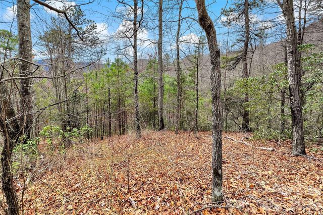 230 Catawba Falls Parkway, Black Mountain, NC 28711