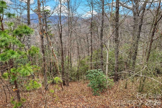 230 Catawba Falls Parkway, Black Mountain, NC 28711