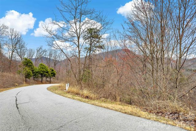 230 Catawba Falls Parkway, Black Mountain, NC 28711