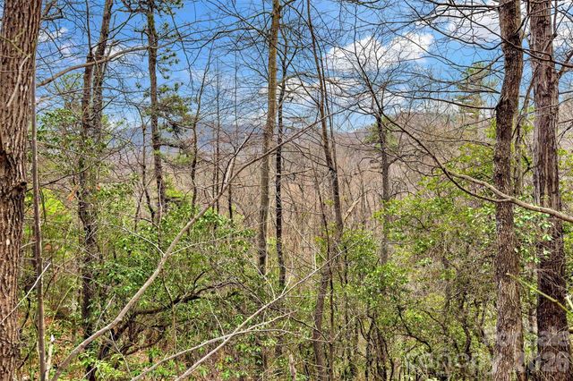 230 Catawba Falls Parkway, Black Mountain, NC 28711