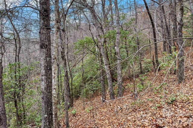 230 Catawba Falls Parkway, Black Mountain, NC 28711