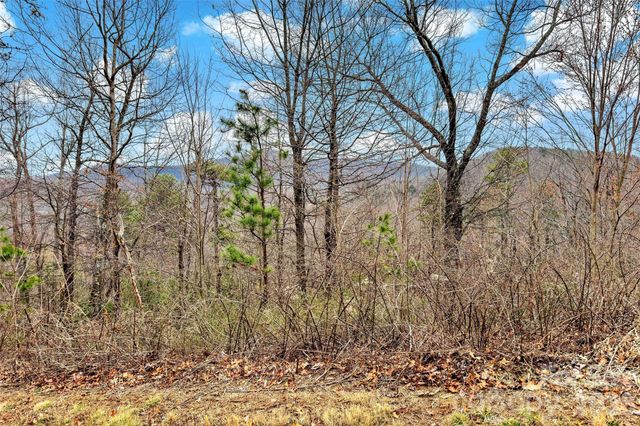 230 Catawba Falls Parkway, Black Mountain, NC 28711