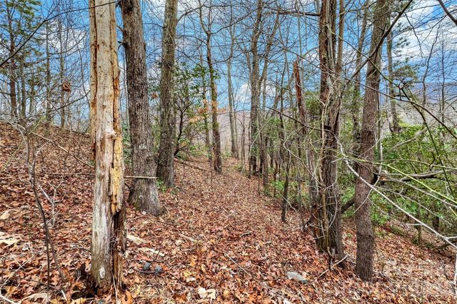 230 Catawba Falls Parkway, Black Mountain, NC 28711