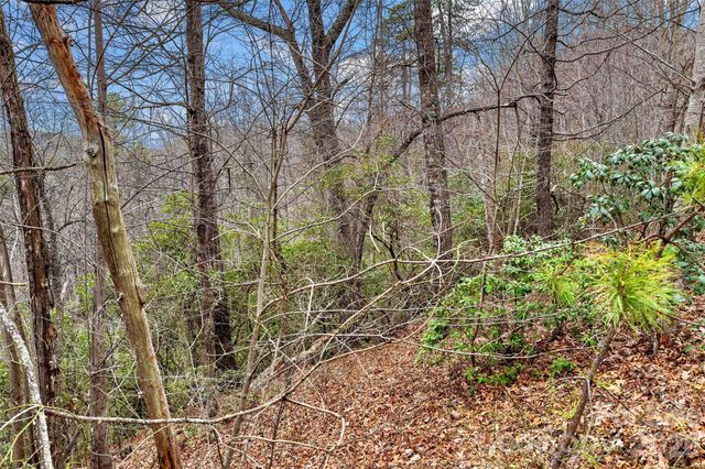 230 Catawba Falls Parkway, Black Mountain, NC 28711