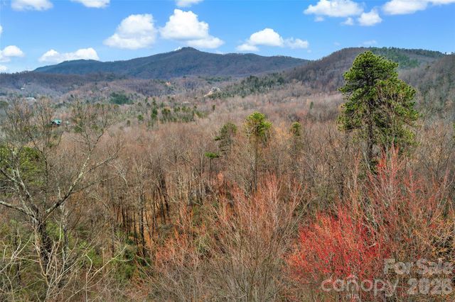 230 Catawba Falls Parkway, Black Mountain, NC 28711