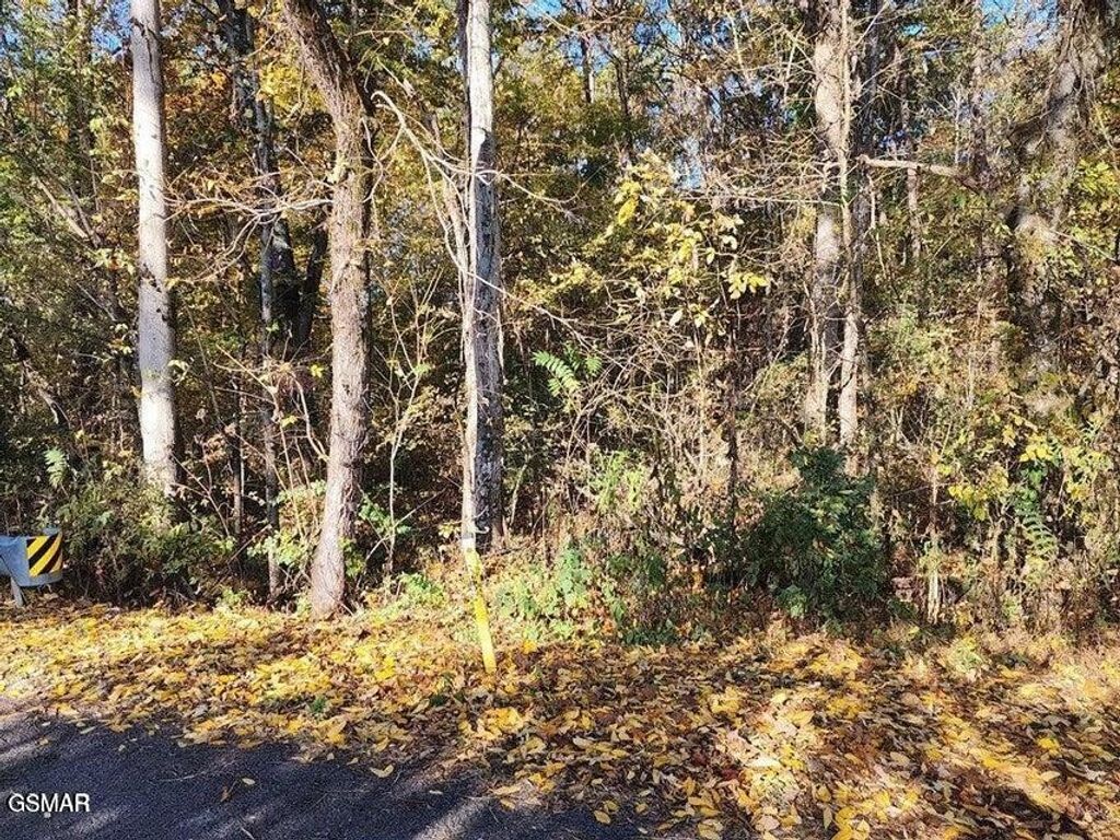 0 Briggs Road, Dandridge, TN 37725