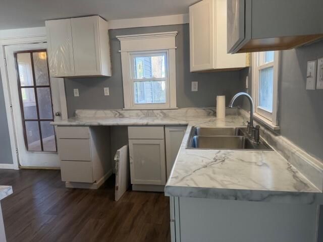 11846 S Mason Drive, Grant City, MI 49327