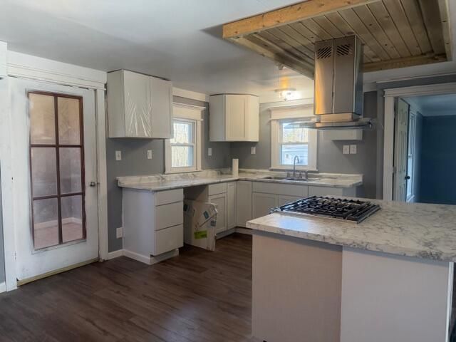 11846 S Mason Drive, Grant City, MI 49327