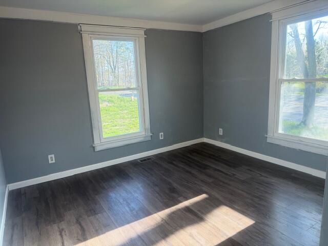 11846 S Mason Drive, Grant City, MI 49327