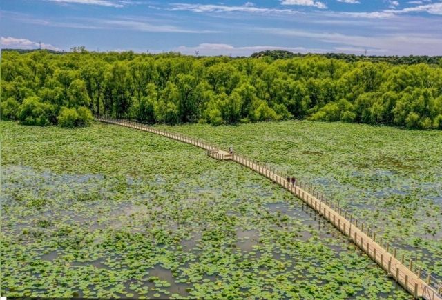 1001 Emery Court, Weatherford, TX 76087