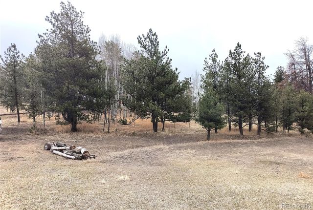 103 Adair Circle, Florissant, CO 80816