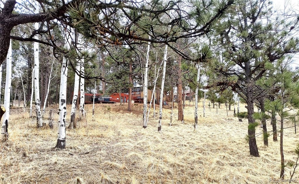 103 Adair Circle, Florissant, CO 80816