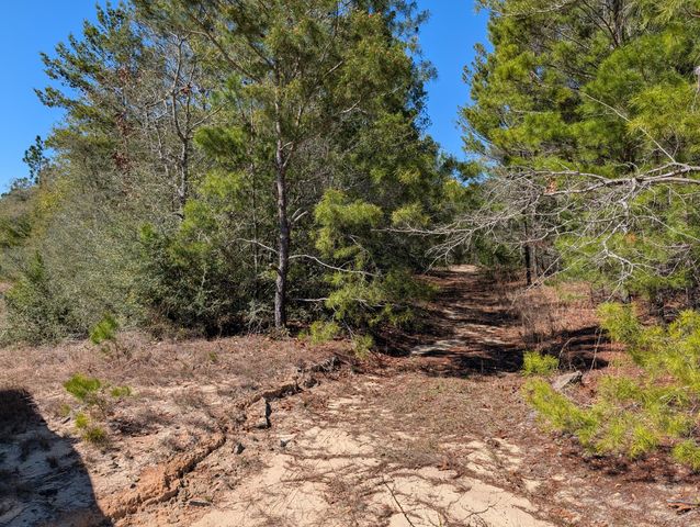 TBD Willow Bend Drive, Defuniak Springs, FL 32433