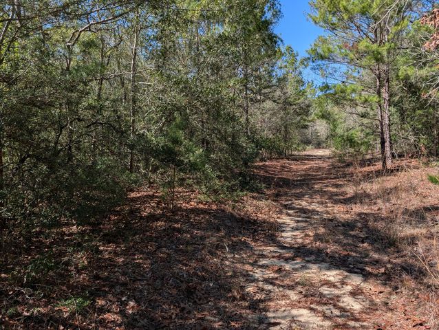 TBD Willow Bend Drive, Defuniak Springs, FL 32433