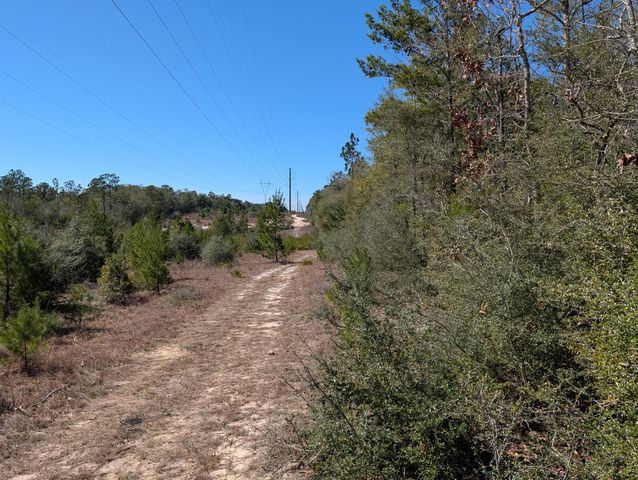 TBD Willow Bend Drive, Defuniak Springs, FL 32433