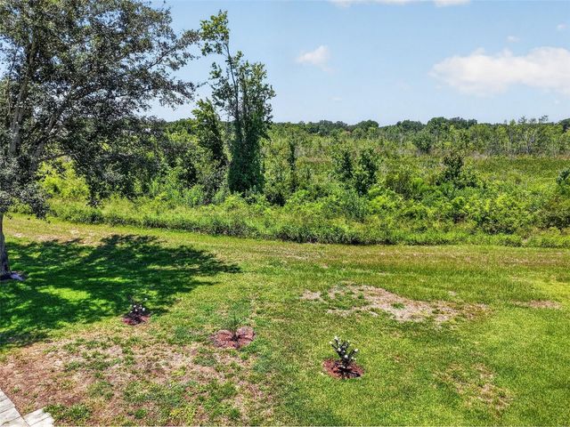 21725 KING RICHARDS WAY, Leesburg, FL 34748