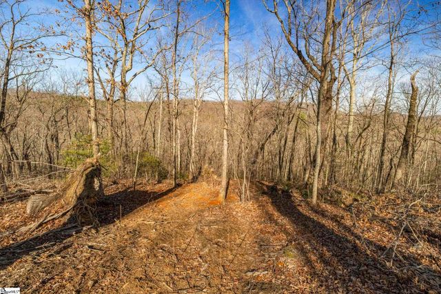 314 Mountain Lake Lane, Travelers Rest, SC 29690