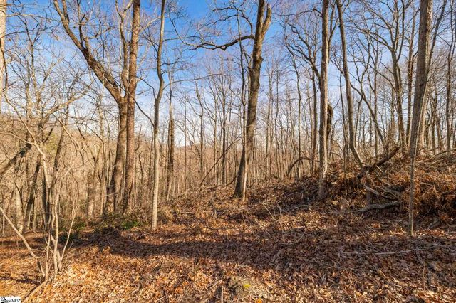 314 Mountain Lake Lane, Travelers Rest, SC 29690