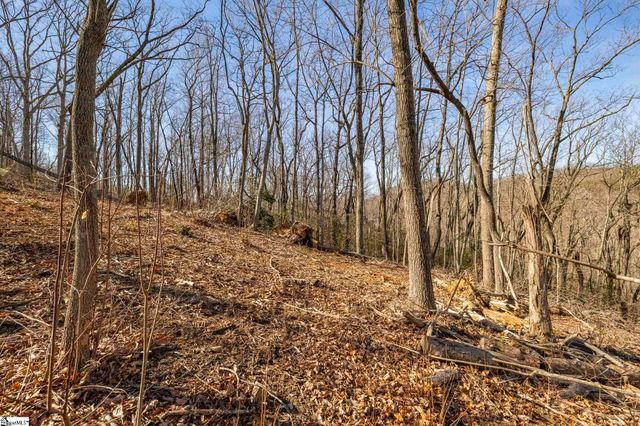 314 Mountain Lake Lane, Travelers Rest, SC 29690