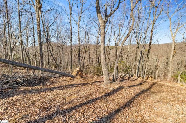 314 Mountain Lake Lane, Travelers Rest, SC 29690