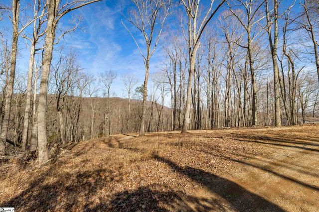 314 Mountain Lake Lane, Travelers Rest, SC 29690