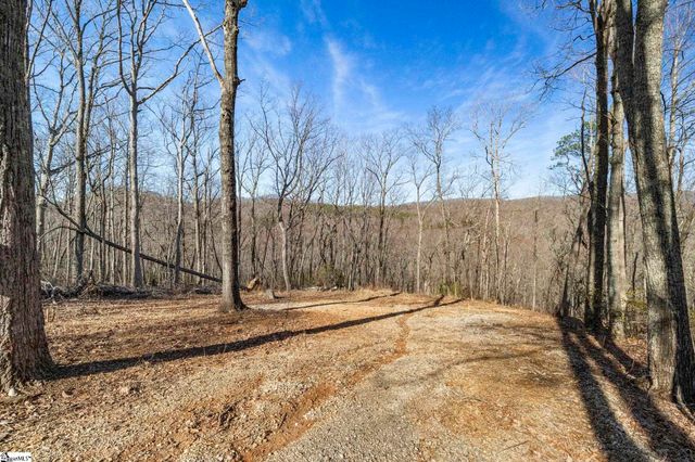 314 Mountain Lake Lane, Travelers Rest, SC 29690