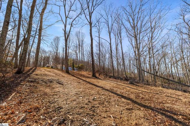 314 Mountain Lake Lane, Travelers Rest, SC 29690