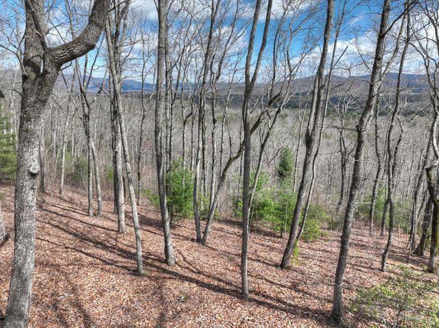 LT 14R Tanager Trail, Ellijay, GA 30536