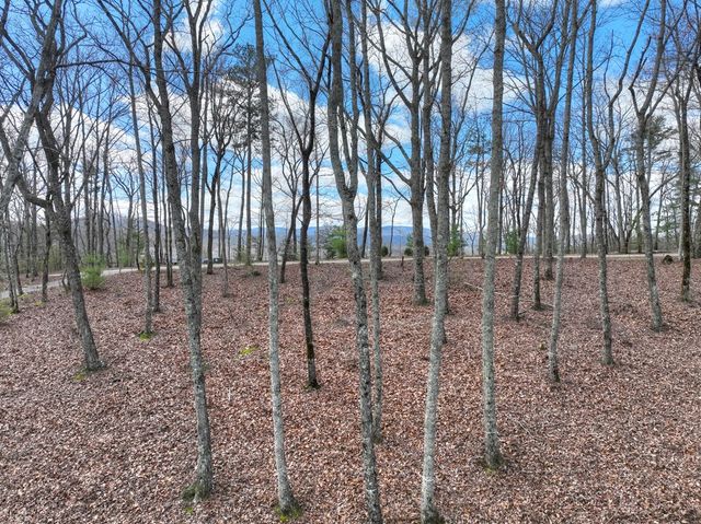 LT 14R Tanager Trail, Ellijay, GA 30536