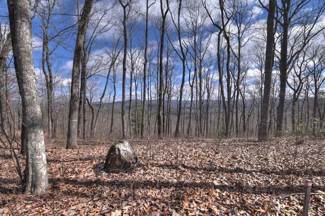 LT 14R Tanager Trail, Ellijay, GA 30536